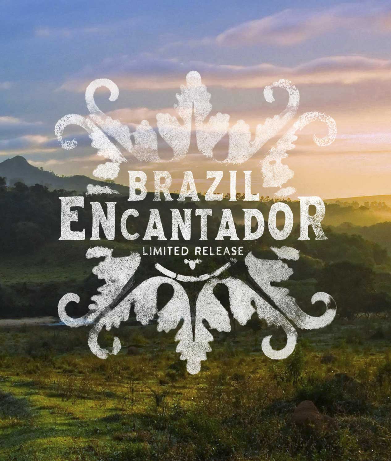 Alternative view of Brazil Encantador