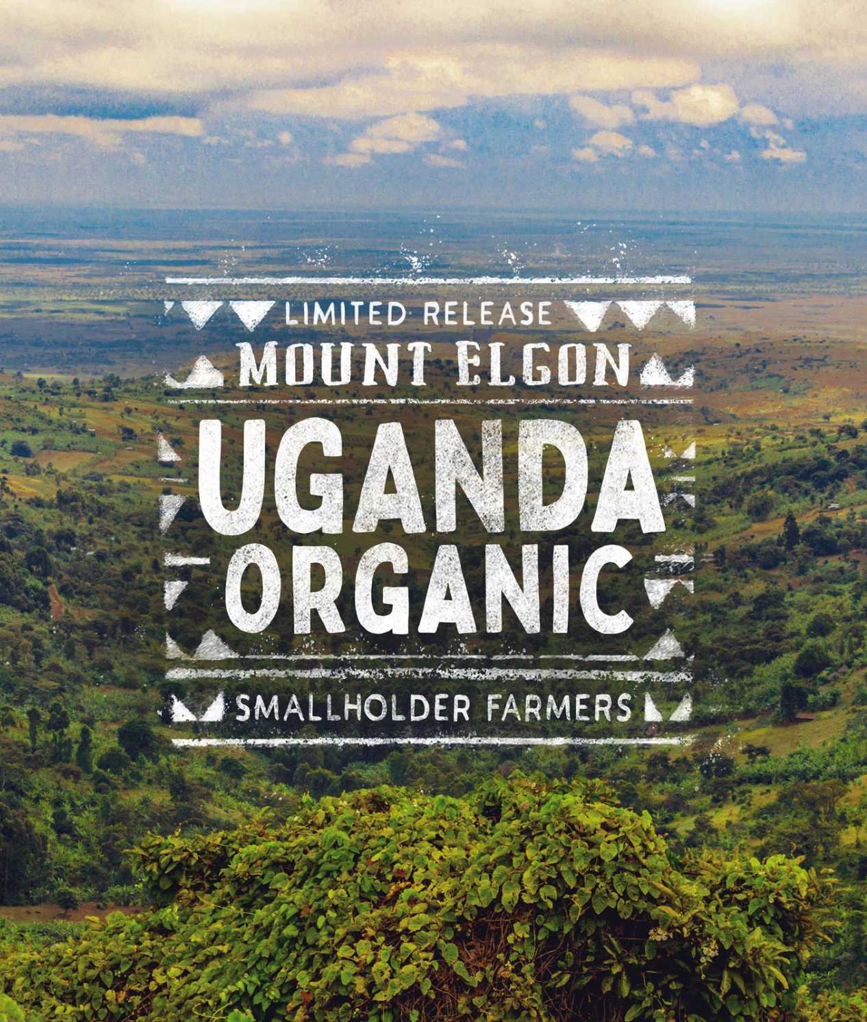 Alternative view of Mount Elgon Uganda Organic