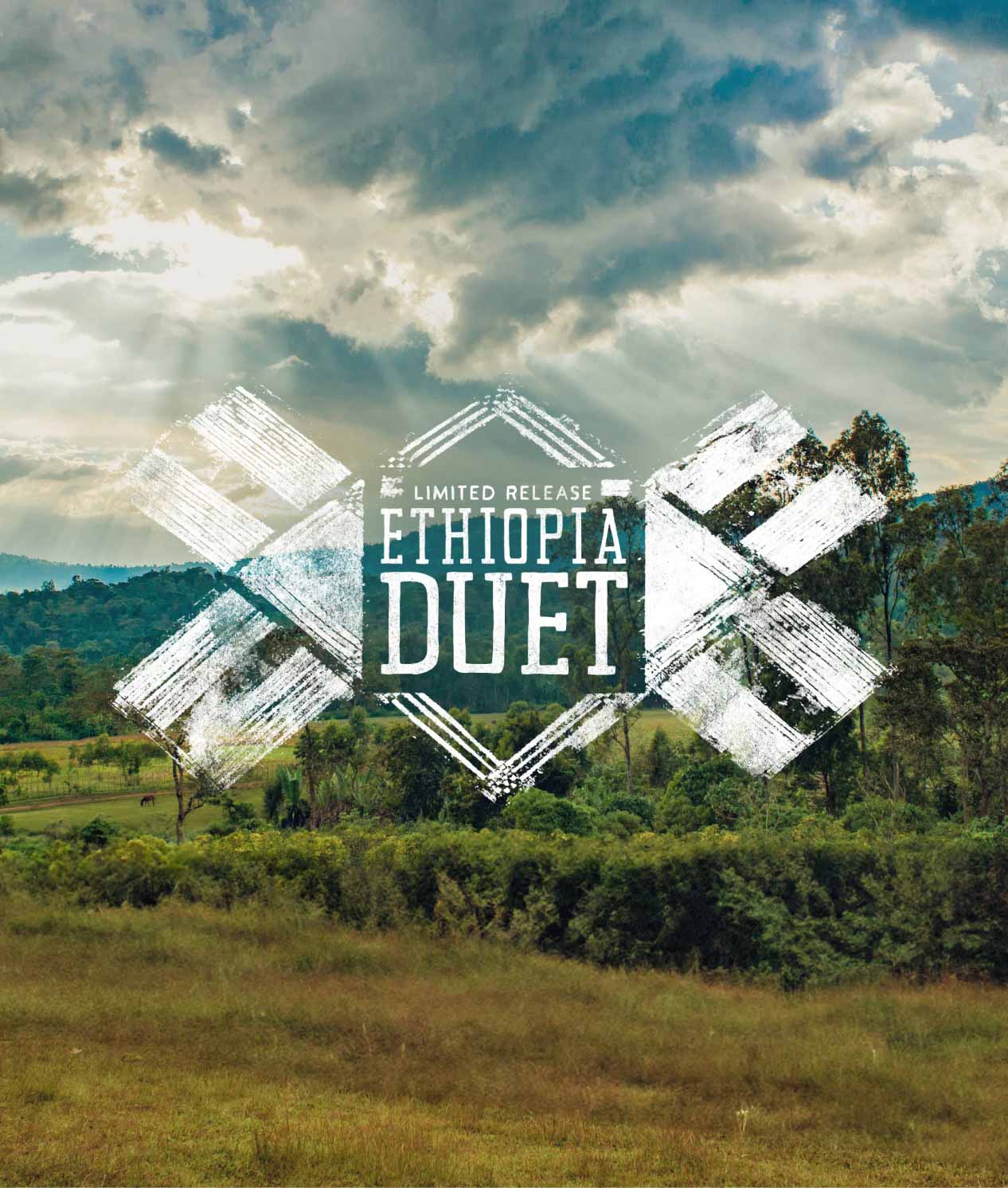 Alternative view of Ethiopia Duet