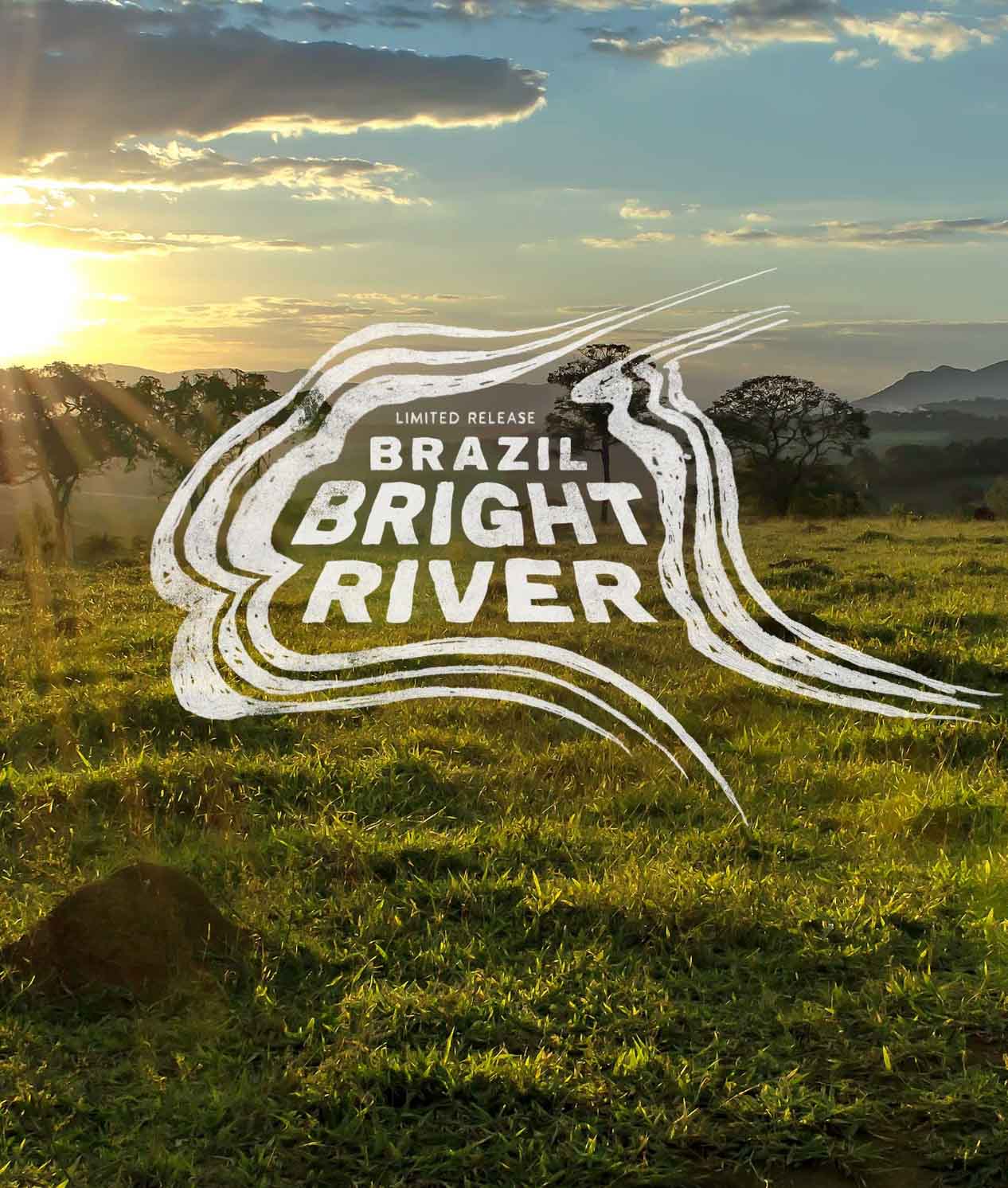 Alternative view of Brazil Bright River