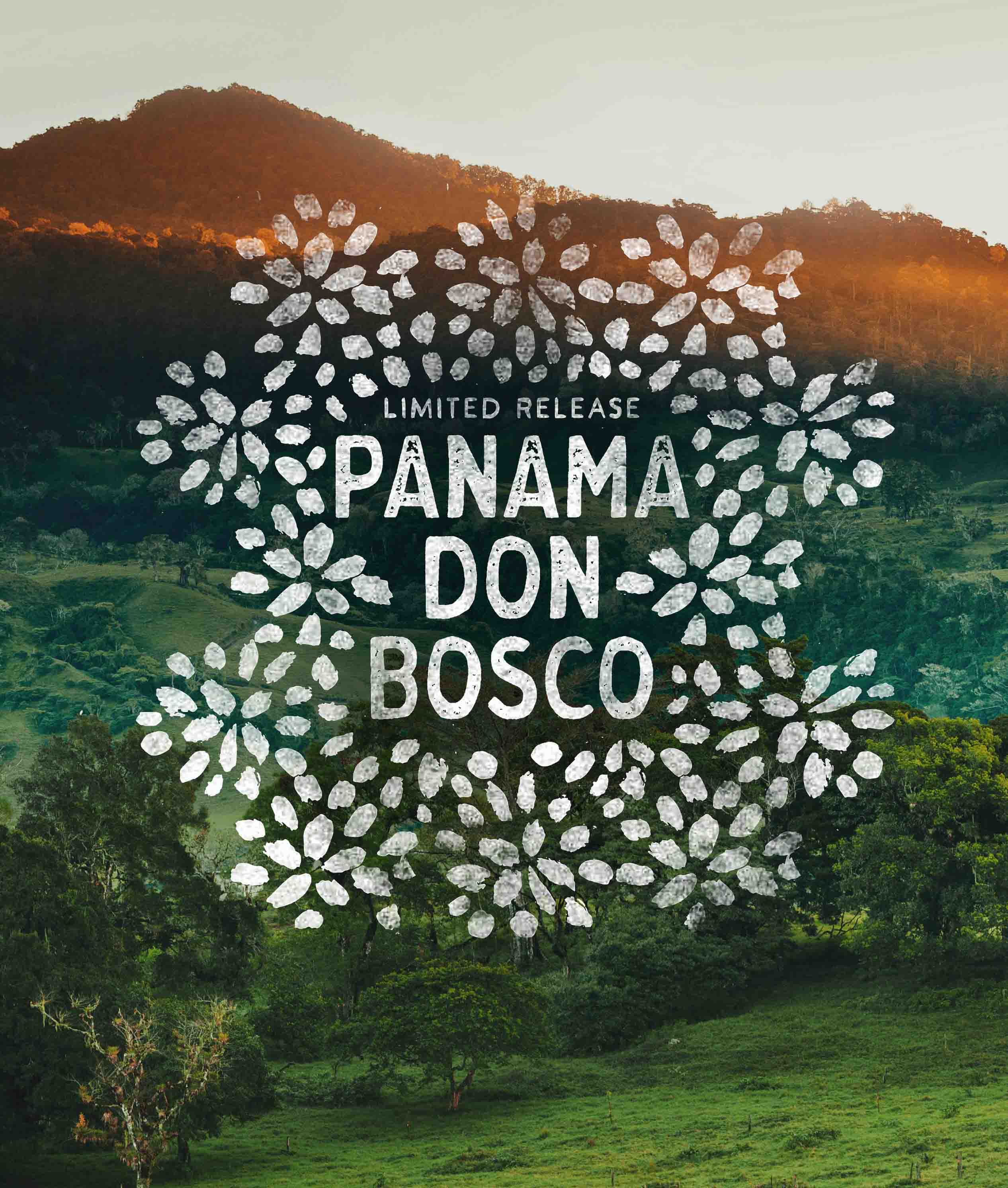 Alternative view of Panama Don Bosco