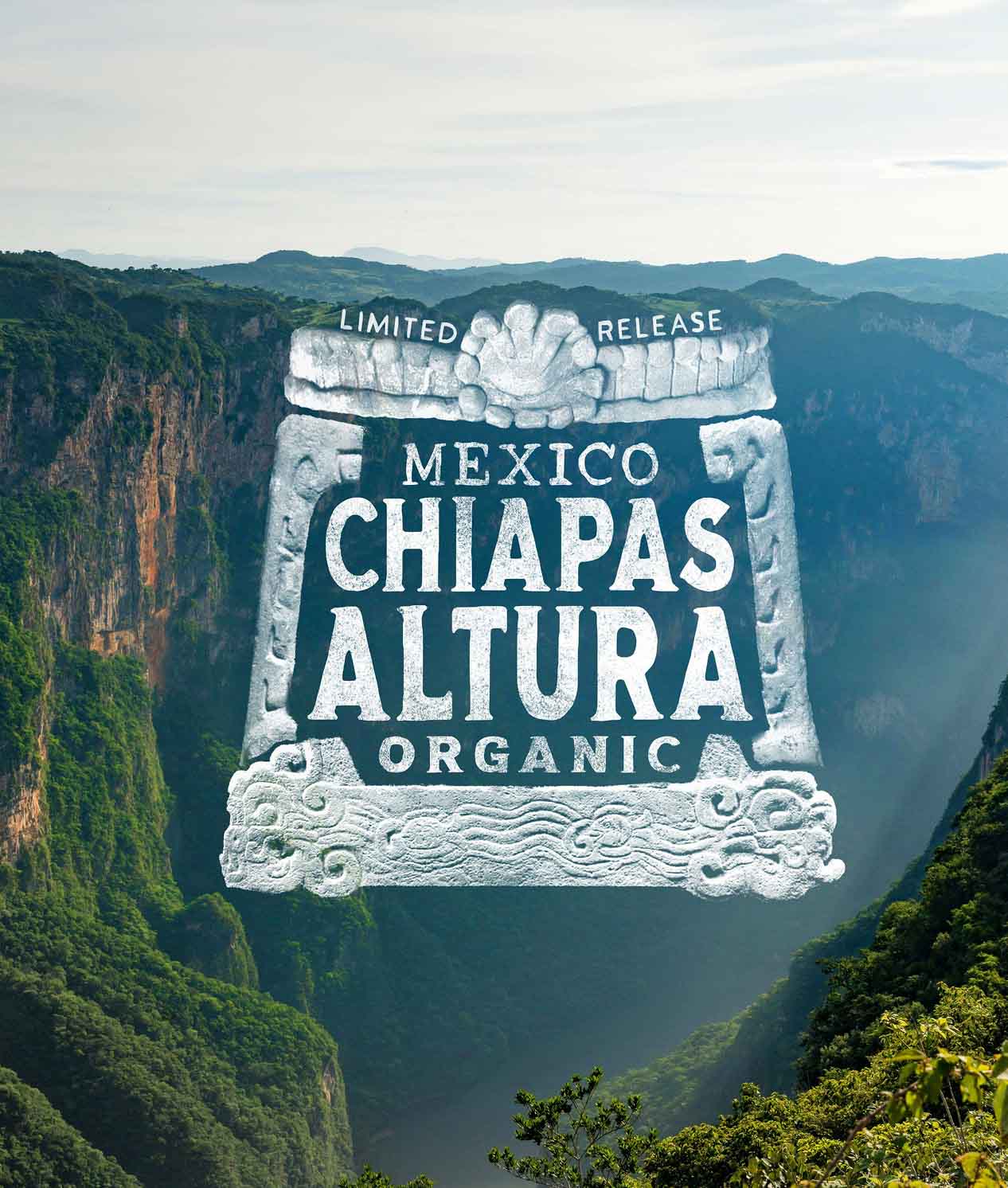 Alternative view of Mexico Chiapas Altura Organic