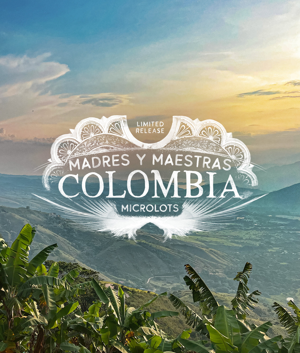 Alternative view of Madres Y Maestras Colombia Microlots
