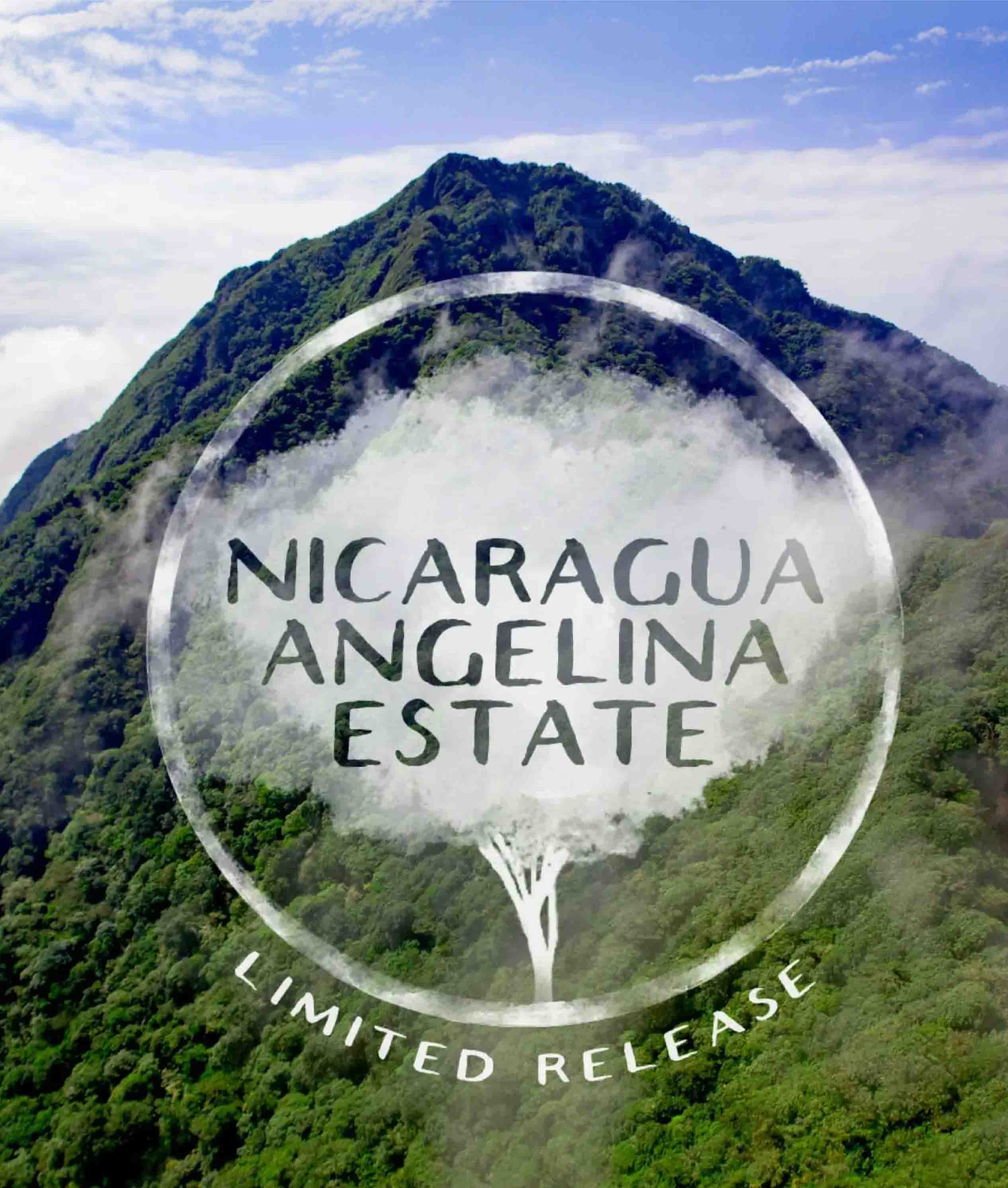 Alternative view of Nicaragua Angelina Estate
