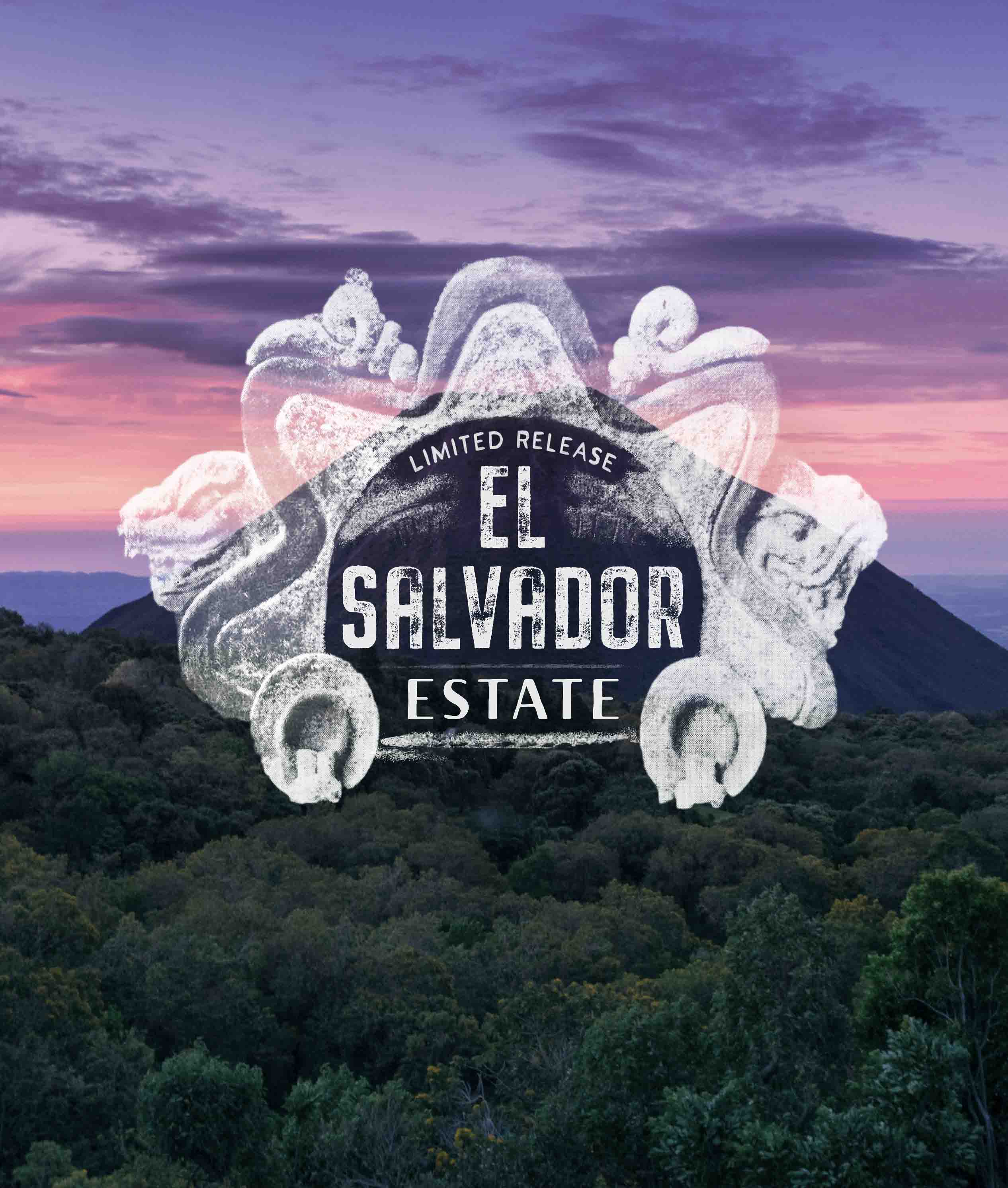 Alternative view of El Salvador Estate
