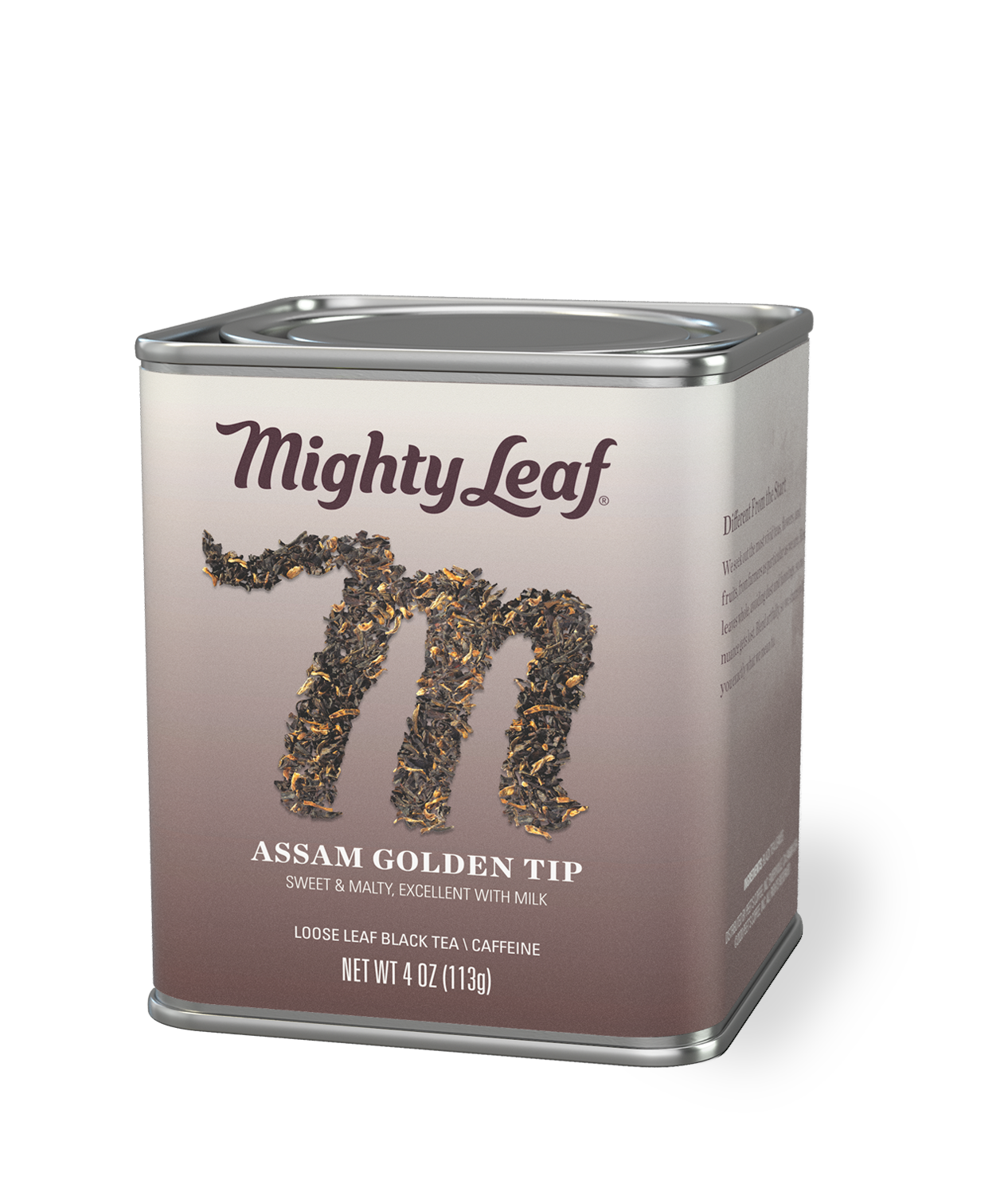 Alternative view of Assam Golden Tip