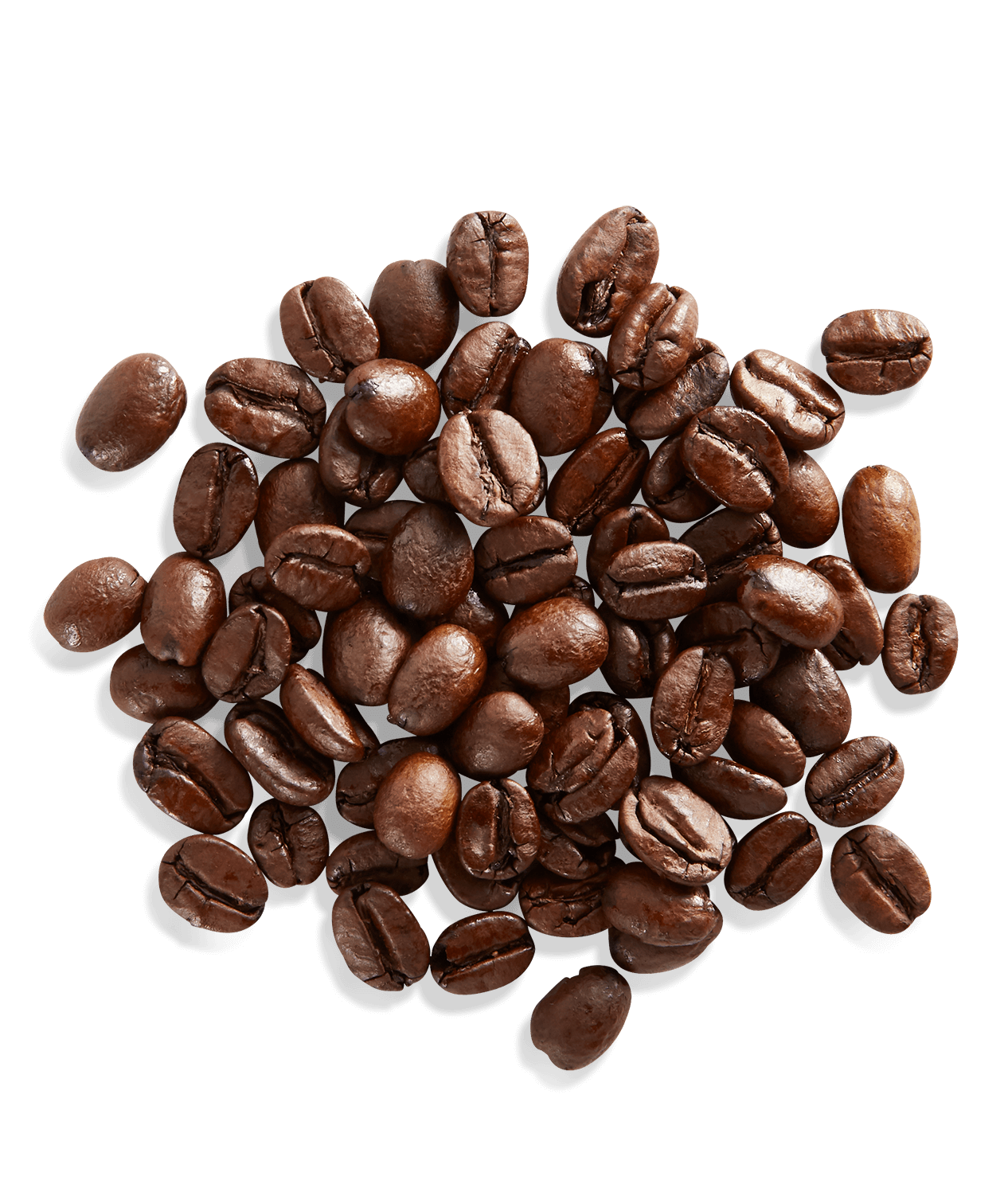 Arabian Mocha Sanani - Image 3
