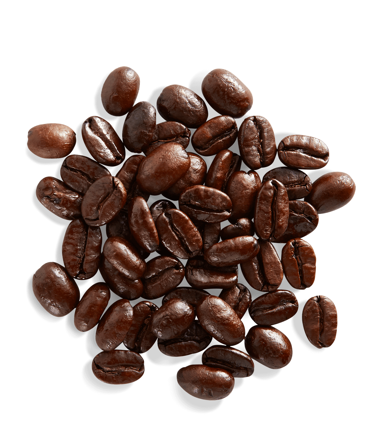 Aged Sumatra - Image 3