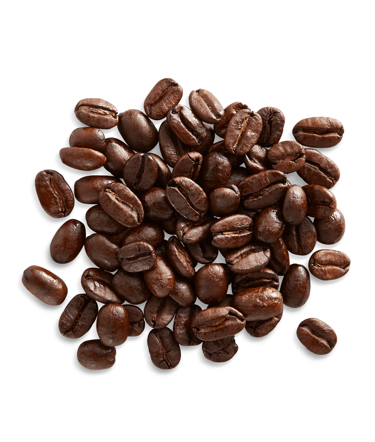 Decaf Holiday Blend 2025 - Image 3