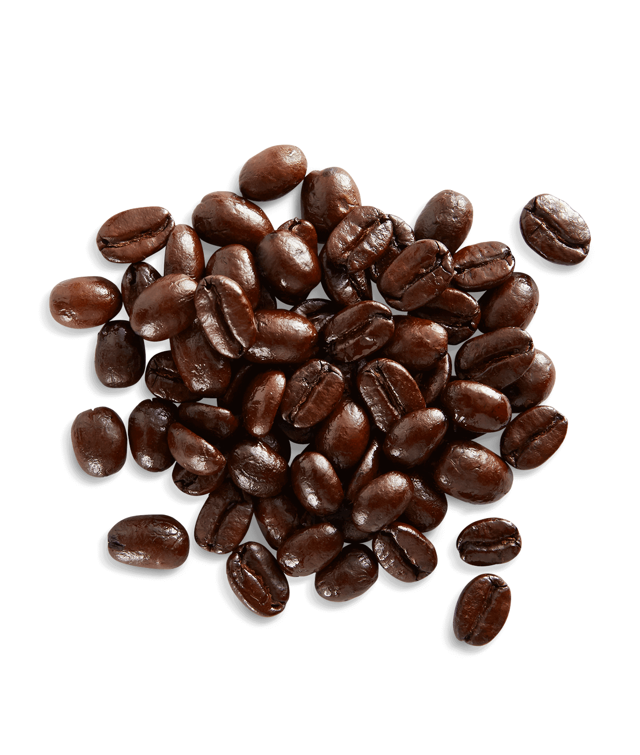 Organic French Roast - Image 3