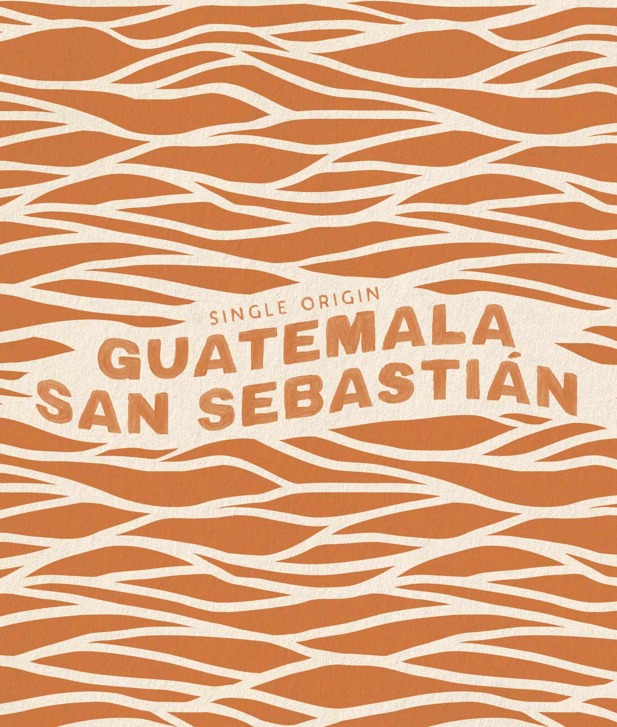 Alternative view of Guatemala San Sebastián
