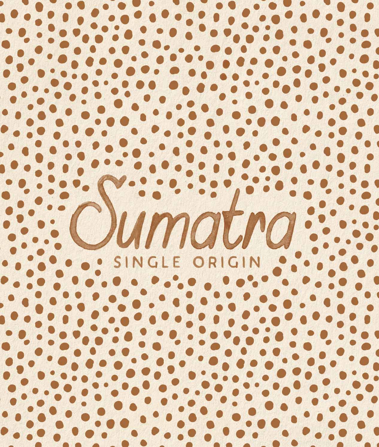 Alternative view of Sumatra